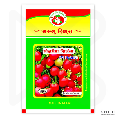 Tomato seed (Srijana)
